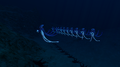 But the Warpers are ready. An army is prepared by Mr. Warper himself