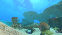 A view of the Safe Shallows