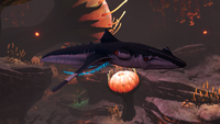 A Squidshark in the Deep Lilypads Cave
