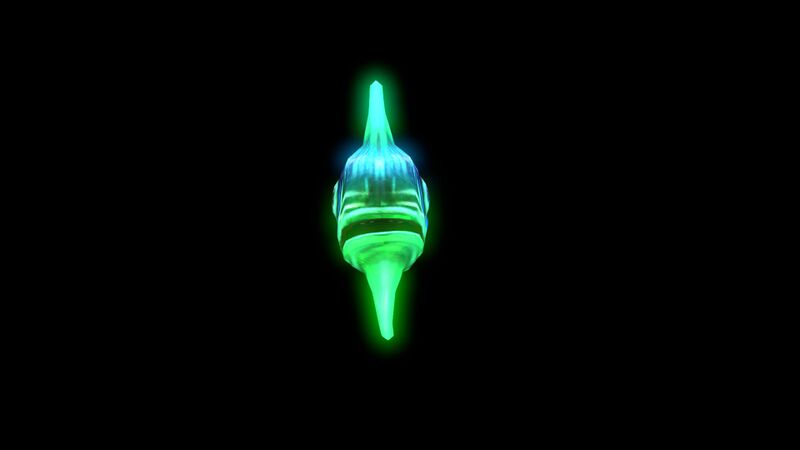File:Hoopfish6.jpg