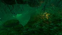 An overview of an Lilypad Cave