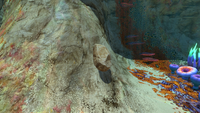 Limestone in the Safe Shallows