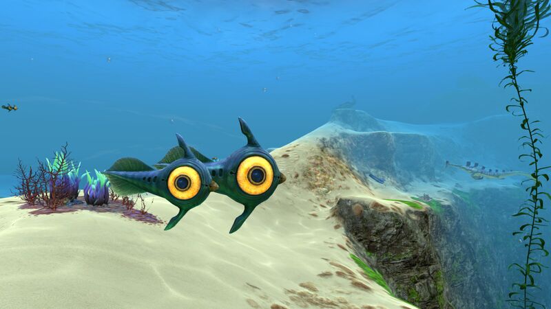 File:Peeper (2).jpg