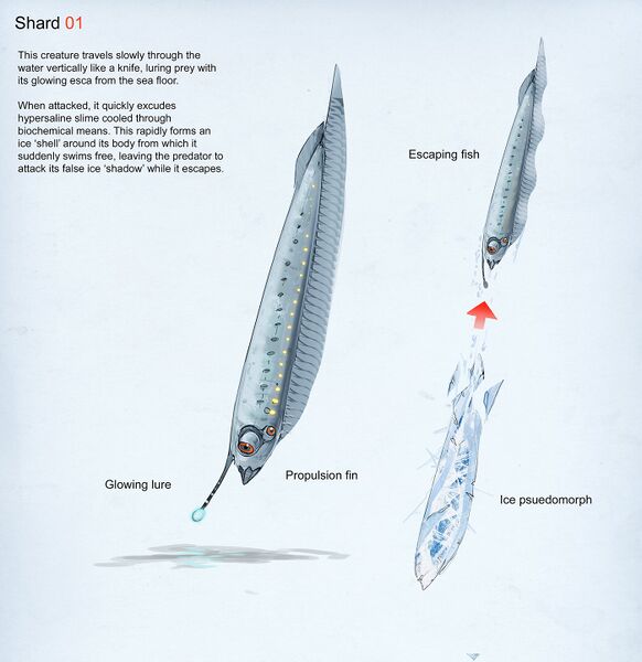 File:Shard 01.jpg