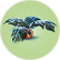 Small Marblemelon.png
