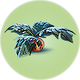 Small Marblemelon.png
