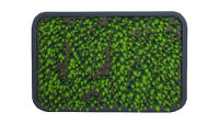 Abandoned Living Wall.png