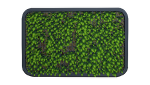Abandoned Living Wall.png