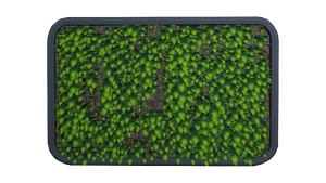 Abandoned Living Wall.png