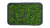 Abandoned Living Wall.png