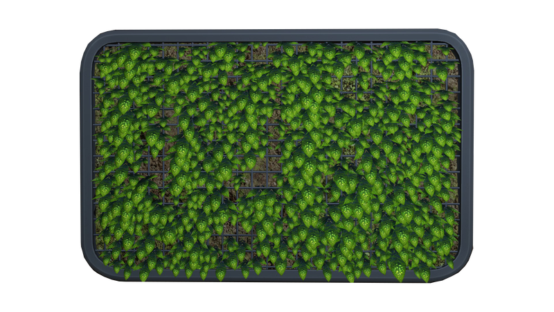 File:Abandoned Living Wall.png