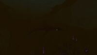 Ditto, at night