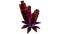 Red Roll Plant Flora.png