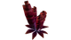 Red Roll Plant Flora.png