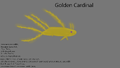 Golden Cardinal