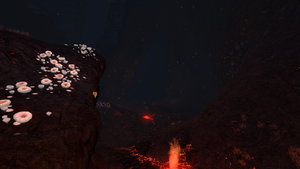 ILZCOrridorGallery.png
