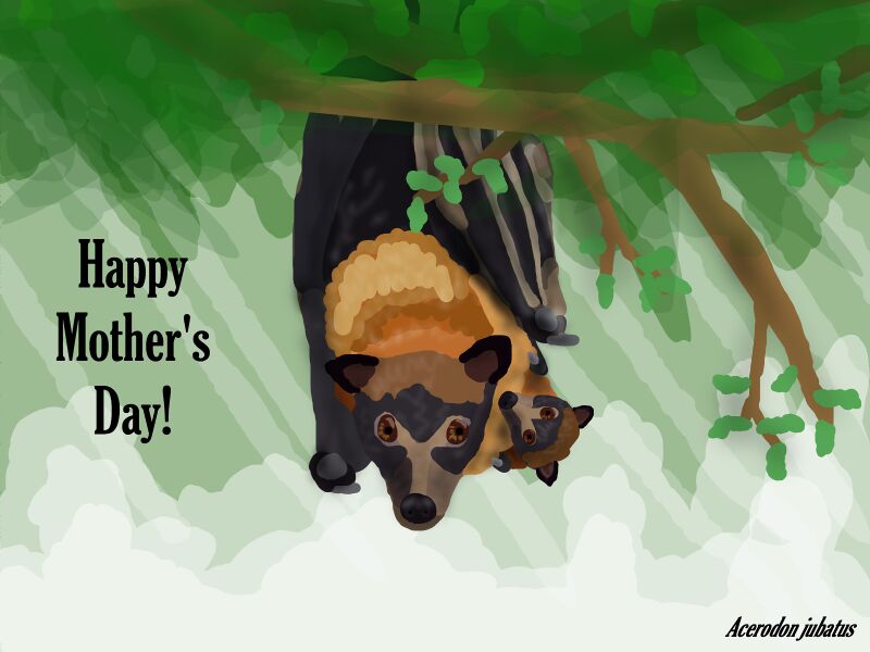 File:Mothers day!.jpg