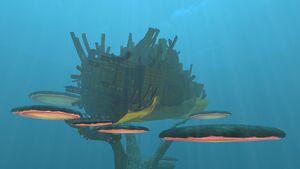 MushroomForestWreck-1.jpg
