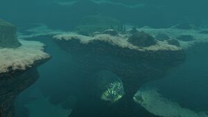 Sparse Reef (2).jpg