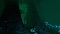 View of a Diamond from the Bone Fields Caves