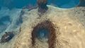 Small tunnels leading inside the underwater Island
