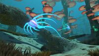 A pair of Jellyrays in the Mushroom Forest