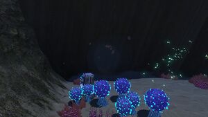 KooshCave6.jpg