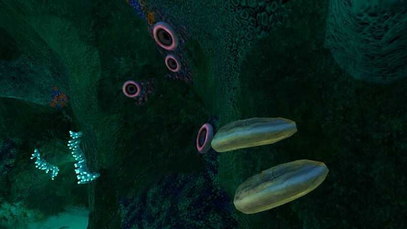 File:Mushroom Forest Caves (7).jpg