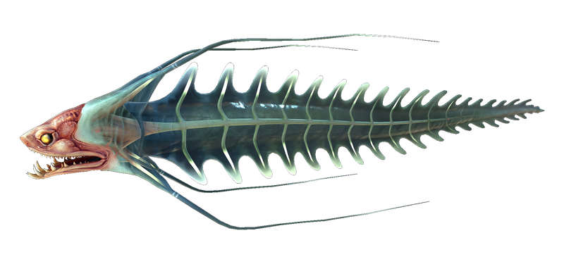 File:River Prowler Fauna.png