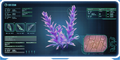 Thumbnail for version as of 08:21, 7 August 2021