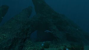 Bonesharkcrag.jpg