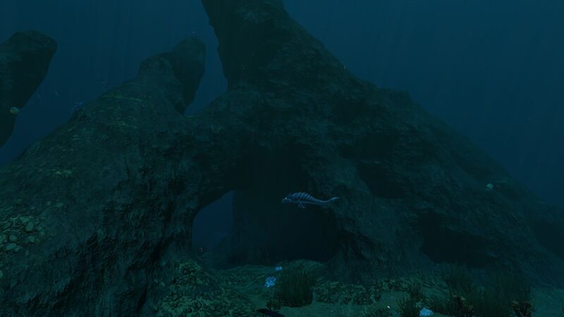 File:Bonesharkcrag.jpg