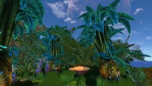 Bulbo Forest.jpg