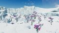 Many Glacial Trees in the west of the biome