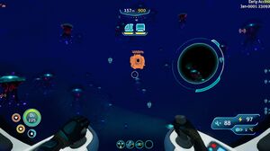 Jellyfishing.jpg