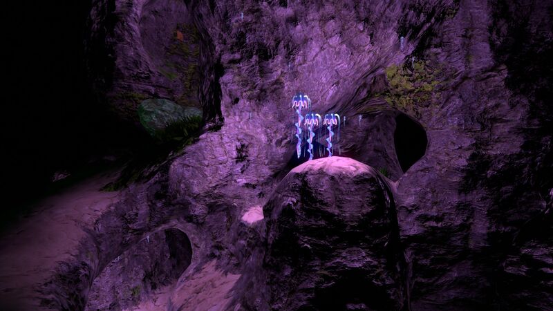 File:Kelp Forest Caves (3).jpg