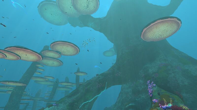 File:MushroomForest21.jpg