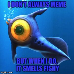 Profile Picture.jpg