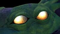 A closeup of the eyes