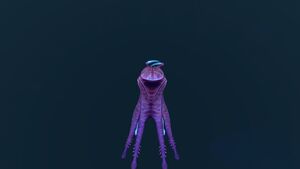 WarperBack.jpg