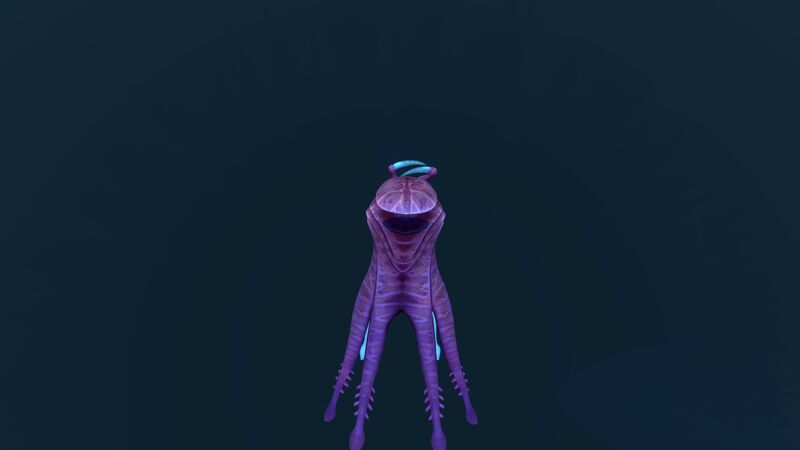 File:WarperBack.jpg