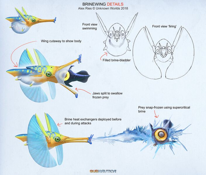 File:Alex-ries-alex-brinewingdetails.jpg