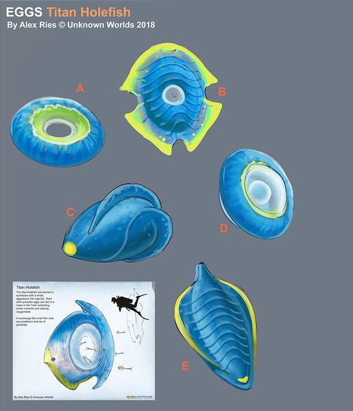 File:EXGDa8HUMAAyYVm.jpeg