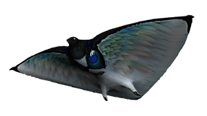 Skyray Fauna (BZ).png