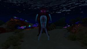 Warper4.jpg