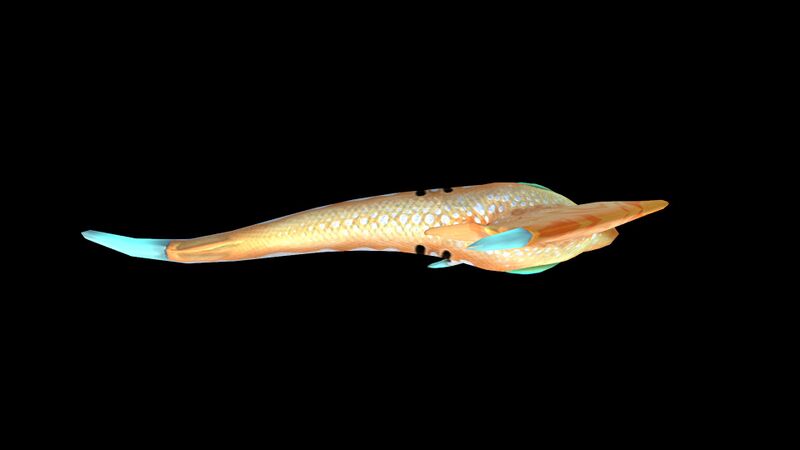 File:Arrow Ray 3.jpg