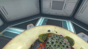 Large Aquarium (3).jpeg