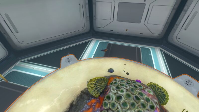 File:Large Aquarium (3).jpeg