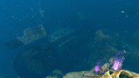 The northern end of the Mercury IIs stern.