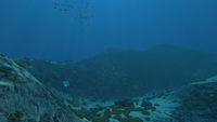 Mountains Overview.png